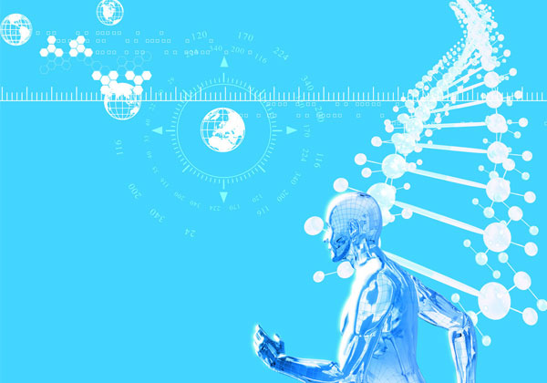 清华大学研制成功DNA水凝胶3D打印材料